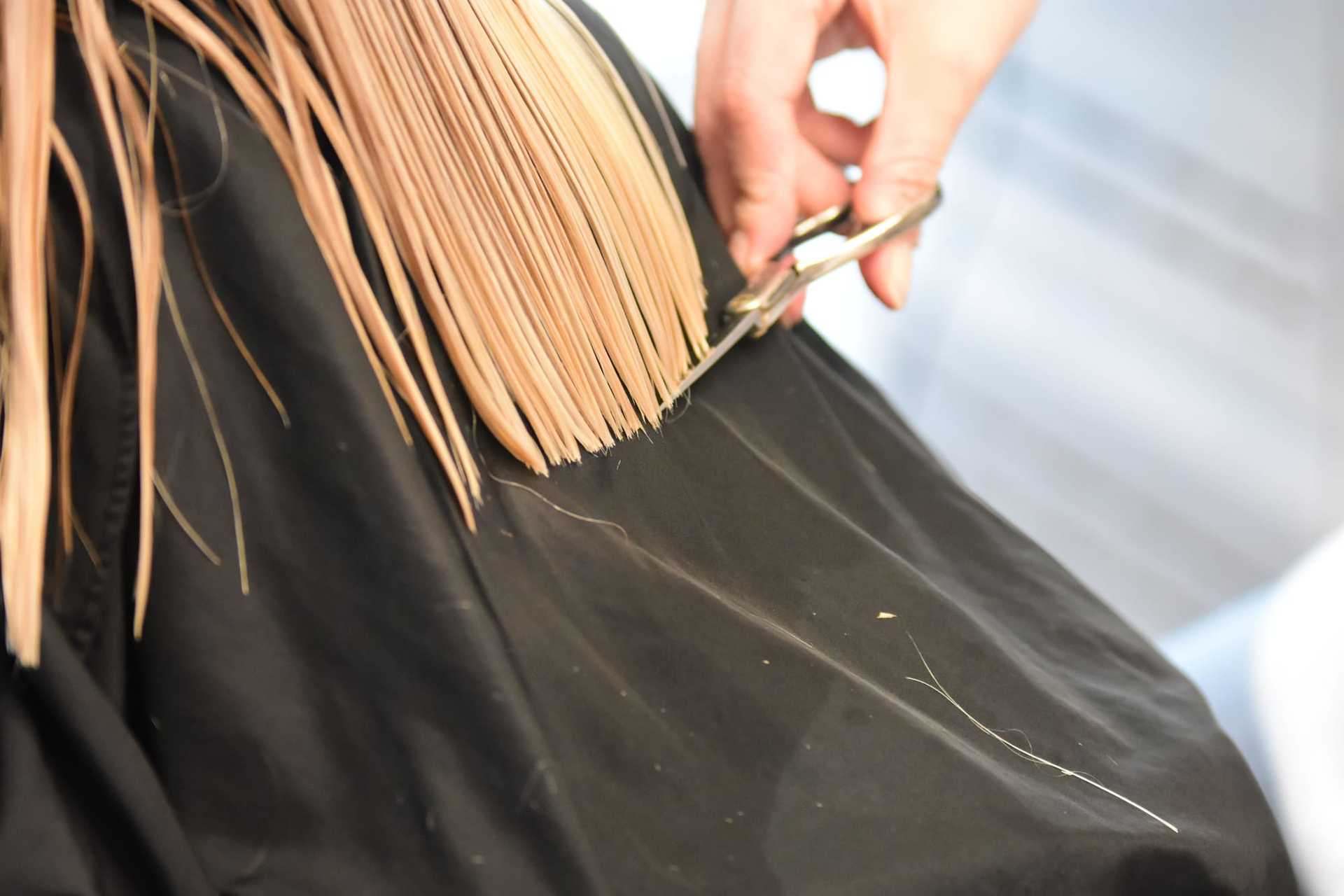 Hair being trimmed with scissors in a salon, close-up view of the cut in progress.